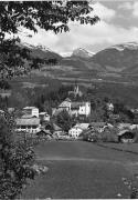 bosco (Positivo) di Foto Edizioni Ghedina (1950/01/01 - 1979/12/31)