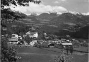 bosco (Positivo) di Foto Edizioni Ghedina (1950/01/01 - 1979/12/31)