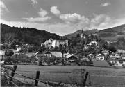 bosco (Positivo) di Foto Edizioni Ghedina (1950/01/01 - 1979/12/31)