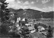 bosco (Positivo) di Foto Edizioni Ghedina (1950/01/01 - 1979/12/31)