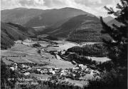 bosco (Positivo) (1950/01/01 - 1979/12/31)