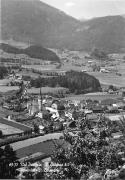 bosco (Positivo) (1950/01/01 - 1979/12/31)