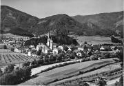 bosco (Positivo) di Foto Edizioni Ghedina (1950/01/01 - 1979/12/31)
