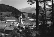 bosco (Positivo) di Foto Edizioni Ghedina (1950/01/01 - 1979/12/31)