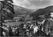 bosco (Positivo) di Foto Edizioni Ghedina (1950/01/01 - 1979/12/31)