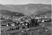 bosco (Positivo) di Foto Edizioni Ghedina (1950/01/01 - 1979/12/31)