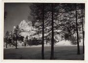 Motiv: Winter (Positivo) (1930/01/01 - 1969/12/31)