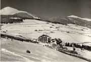 bosco (Positivo) di Foto Edizioni Ghedina (1950/01/01 - 1979/12/31)