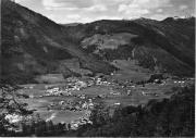 bosco (Positivo) (1950/01/01 - 1979/12/31)
