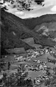 bosco (Positivo) di Foto Edizioni Ghedina (1950/01/01 - 1979/12/31)