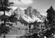 Bergsee (Positivo) (1950/01/01 - 1979/12/31)