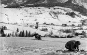 Skifahrer (Positivo) di Foto Erlacher, St.Vigil/Enneberg (1930/01/01 - 1969/12/31)