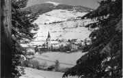 bosco (Positivo) di Foto Erlacher, St.Vigil/Enneberg (1930/01/01 - 1969/12/31)