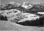 bosco (Positivo) di Foto Hermann Frass, Bozen (1945/10/01 - 1979/12/31)