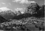 bosco (Positivo) (1950/01/01 - 1969/12/31)