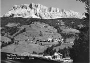 bosco (Positivo) (1950/01/01 - 1969/12/31)