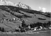 bosco (Positivo) (1950/01/01 - 1969/12/31)