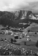 prato (Positivo) di Foto Edizioni Ghedina (1950/01/01 - 1969/12/31)
