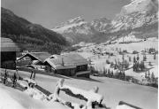 bosco (Positivo) (1950/01/01 - 1979/12/31)