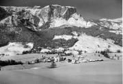 bosco (Positivo) di Foto Edizioni Ghedina (1950/01/01 - 1979/12/31)