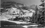 bosco (Positivo) di Foto Edizioni Ghedina (1950/01/01 - 1979/12/31)