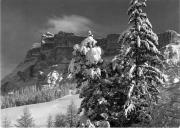 bosco (Positivo) di Foto Edizioni Ghedina (1950/01/01 - 1979/12/31)