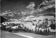 bosco (Positivo) (1950/01/01 - 1979/12/31)