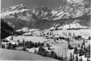 bosco (Positivo) (1950/01/01 - 1979/12/31)