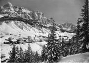 bosco (Positivo) (1950/01/01 - 1979/12/31)