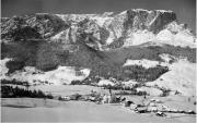 bosco (Positivo) di Foto Edizioni Ghedina (1950/01/01 - 1979/12/31)
