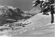 bosco (Positivo) di Foto Edizioni Ghedina (1950/01/01 - 1979/12/31)