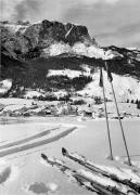 bosco (Positivo) di Foto Edizioni Ghedina (1950/01/01 - 1979/12/31)