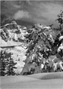 Motiv: Winter (Positivo) di Foto Edizioni Ghedina (1950/01/01 - 1979/12/31)