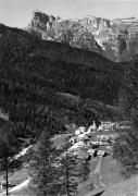 bosco (Positivo) (1950/01/01 - 1979/12/31)