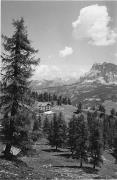 Lärche (Positivo) (1950/01/01 - 1969/12/31)