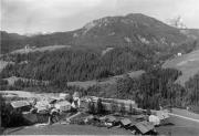 bosco (Positivo) di Foto Edizioni Ghedina (1950/01/01 - 1979/12/31)