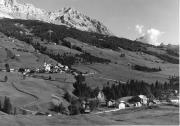 bosco (Positivo) di Foto Edizioni Ghedina (1950/01/01 - 1979/12/31)