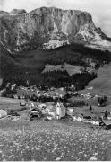 bosco (Positivo) di Foto Edizioni Ghedina (1950/01/01 - 1979/12/31)