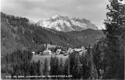 bosco (Positivo) di Foto Edizioni Ghedina (1950/01/01 - 1979/12/31)
