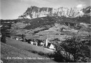 bosco (Positivo) di Foto Edizioni Ghedina (1950/01/01 - 1979/12/31)