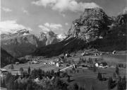 bosco (Positivo) (1950/01/01 - 1979/12/31)