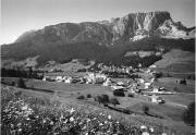 bosco (Positivo) di Foto Edizioni Ghedina (1950/01/01 - 1979/12/31)