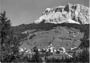 bosco (Positivo) di Foto Edizioni Ghedina (1950/01/01 - 1979/12/31)
