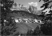 bosco (Positivo) di Foto Edizioni Ghedina (1950/01/01 - 1979/12/31)