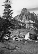 bosco (Positivo) di Foto Edizioni Ghedina (1950/01/01 - 1979/12/31)