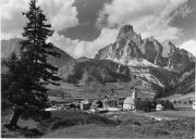 bosco (Positivo) di Foto Edizioni Ghedina (1950/01/01 - 1979/12/31)