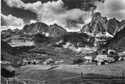 bosco (Positivo) (1950/01/01 - 1979/12/31)