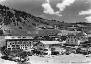 bosco (Positivo) di Foto Edizioni Ghedina (1950/01/01 - 1979/12/31)