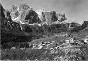 bosco (Positivo) di Foto Edizioni Ghedina (1950/01/01 - 1962/07/02)