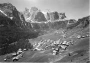 bosco (Positivo) di Foto Edizioni Ghedina (1950/01/01 - 1962/07/02)